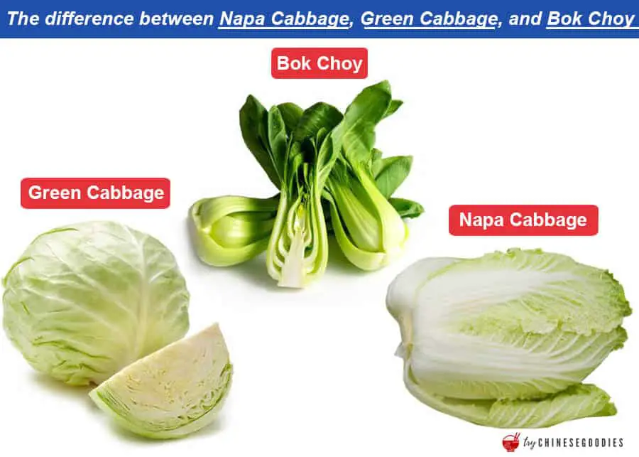 how to identify the difference of Napa cabbage, green cabbage, Bok choy