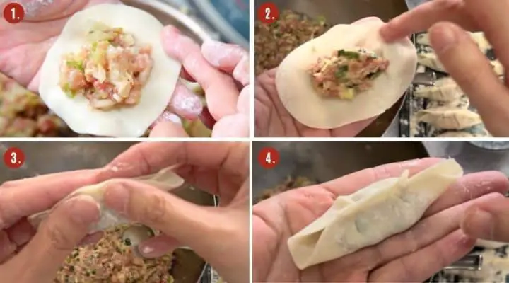 How to wrap Japanese gyoza 