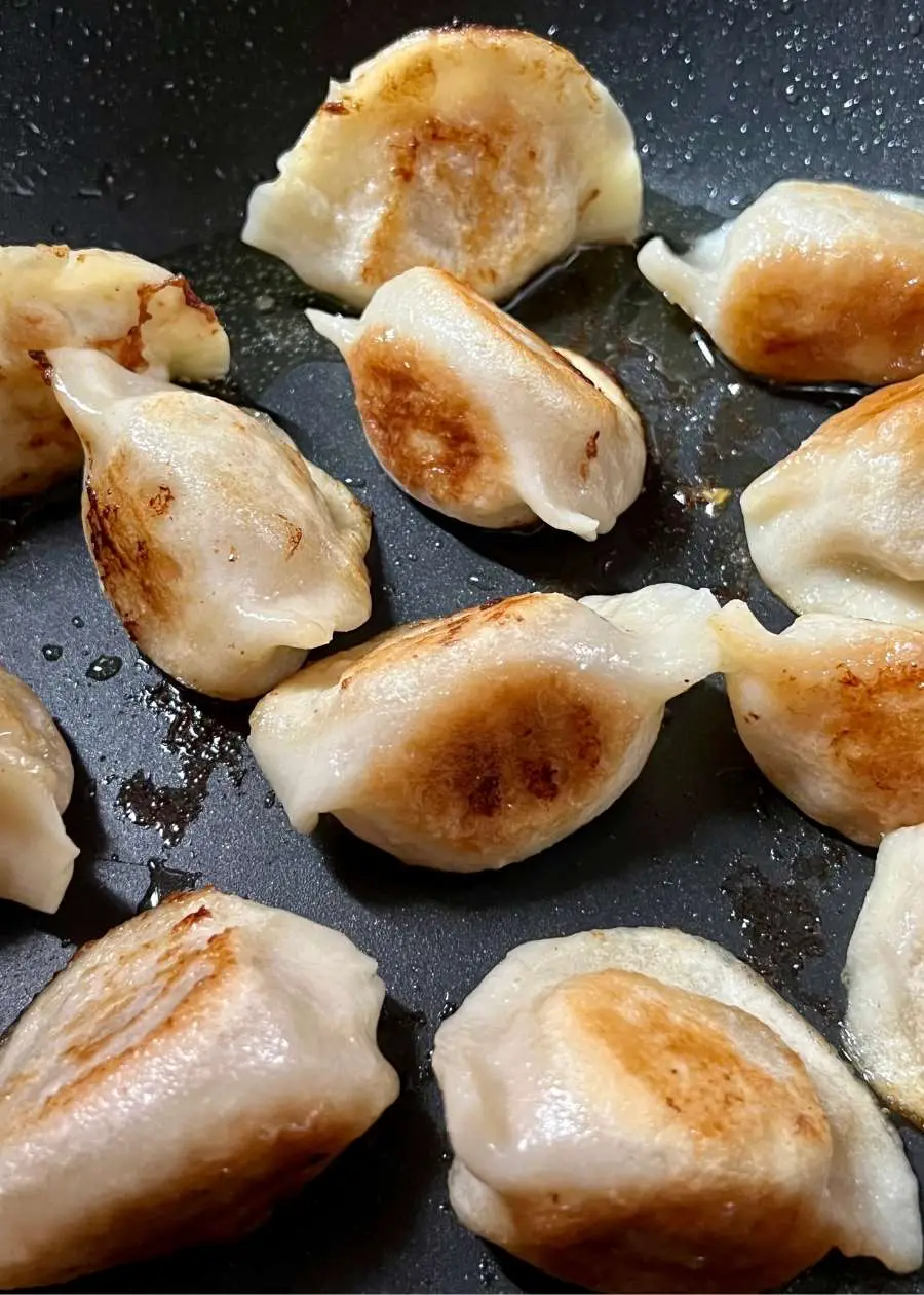 Potstickers (Chinese Pan Fried Dumplings!)