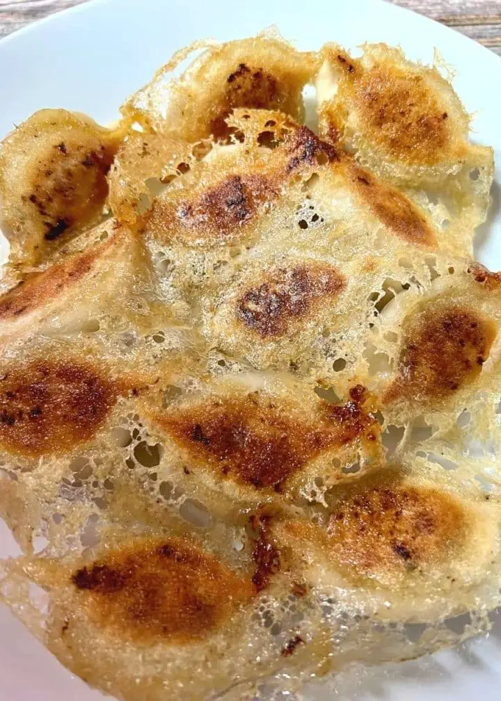 pan fried potstickers with a crispy skirt