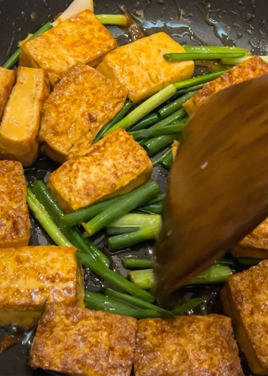 Braised Tofu (Vegetarian) - Keto and Whole30 - trychinesegoodies.com
