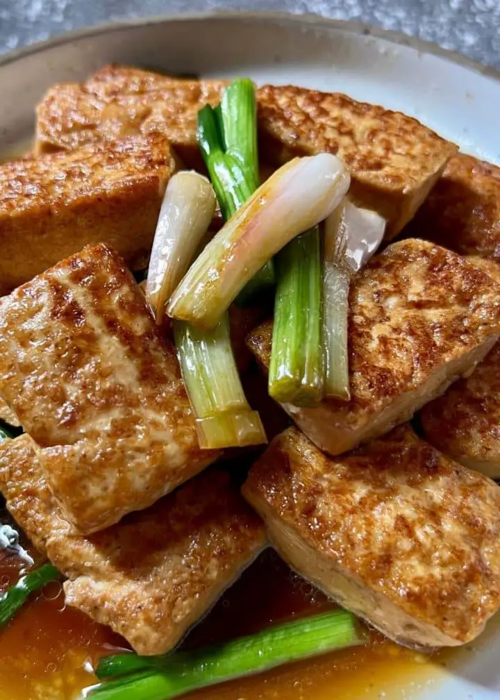 braised tofu vegetarian