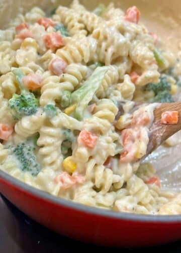 White Sauce Pasta - Creamy and Garlicky - trychinesegoodies.com