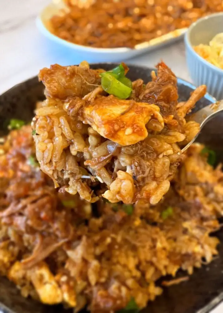 Pulled pork fried rice