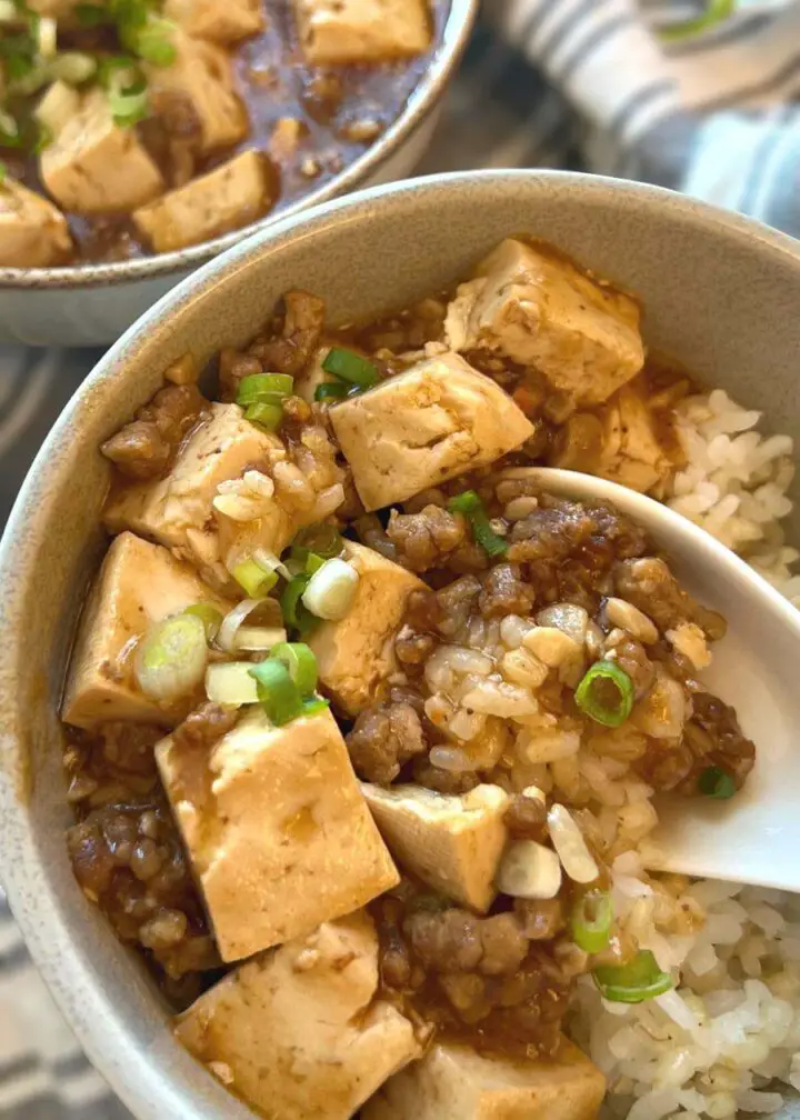 Mapo tofu 1