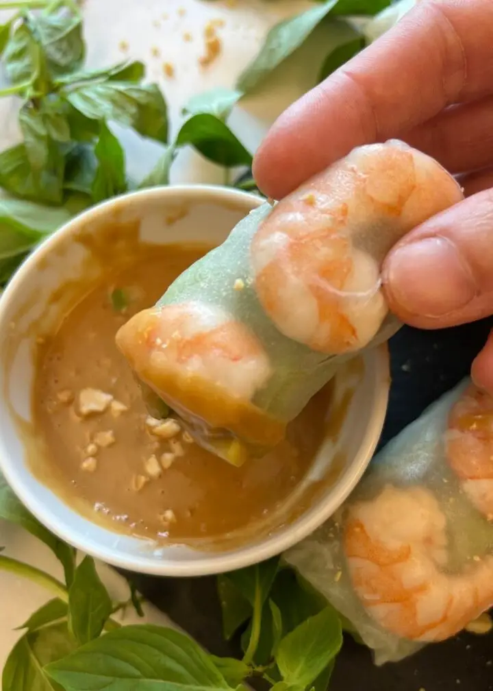 Vietnamese rice papper rolls with peanut dipping sauce