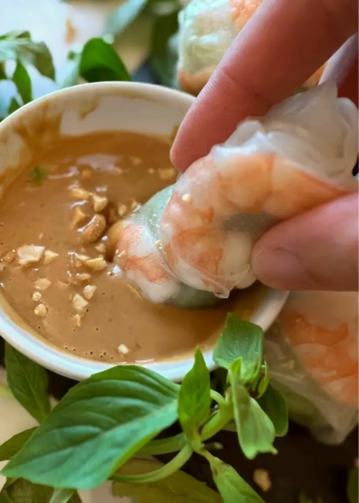 Vietnamese rice papper rolls with peanut dipping sauce